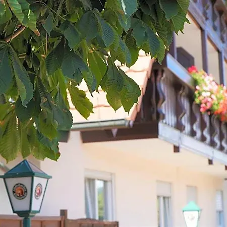 Garni Alte Post 3* Lörrach
